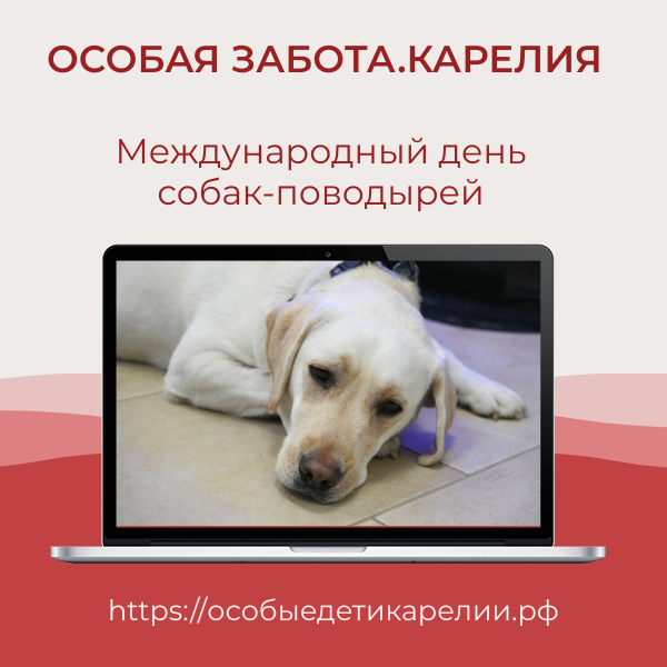 image 5313105 11062593